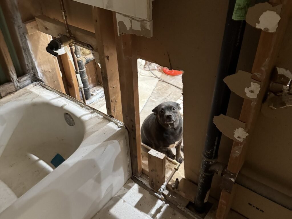 Bathroom part-way through demolition with walls opened up